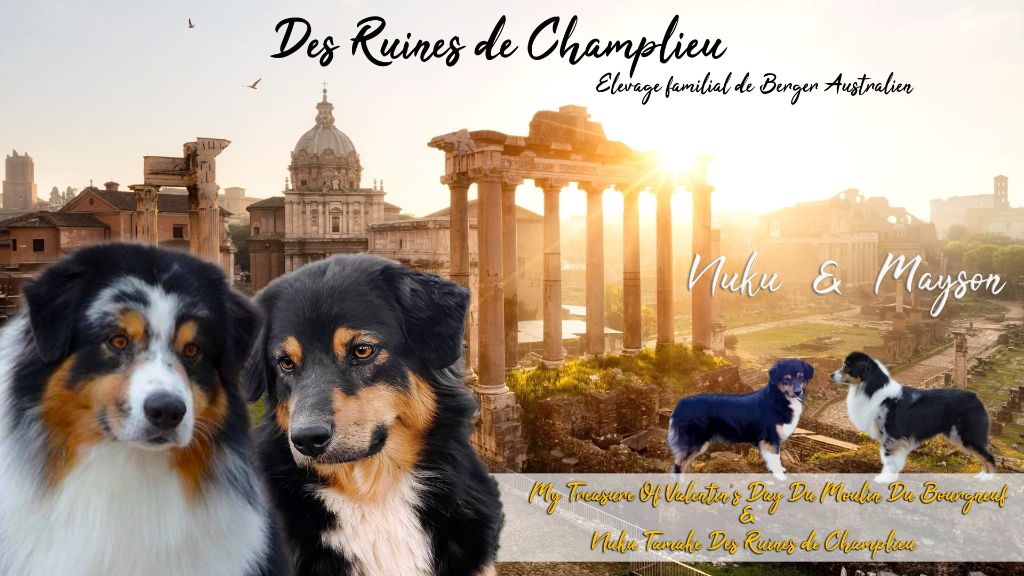 Des Ruines De Champlieu - Des bébés pour fin mars